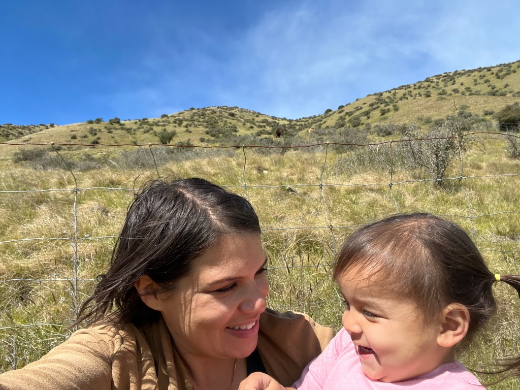 So much to do around&nbsp;Christchurch!